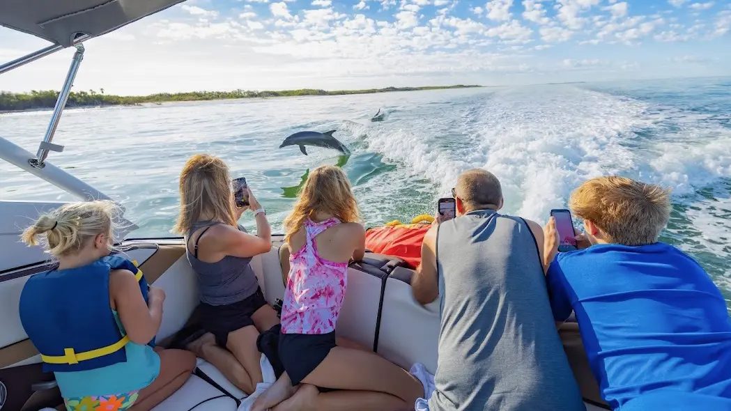 Dolphin Watching and Island Tour