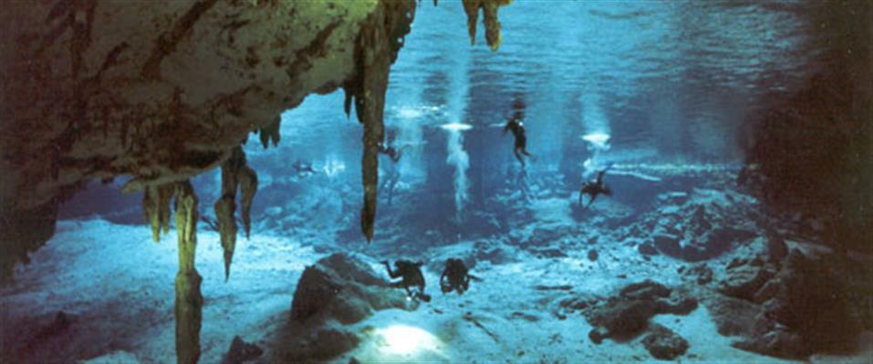 Cenotes Dive (or Snorkel)