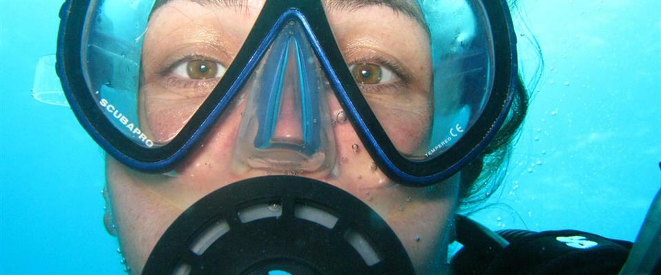 Scuba Dive Courses