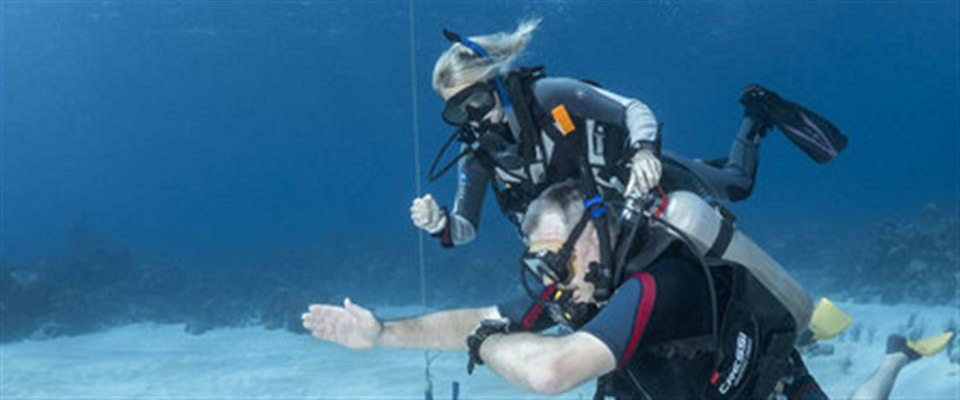 Padi Scuba Dive Courses