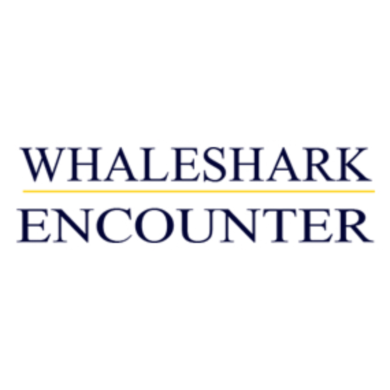 Whale Shark Encounter