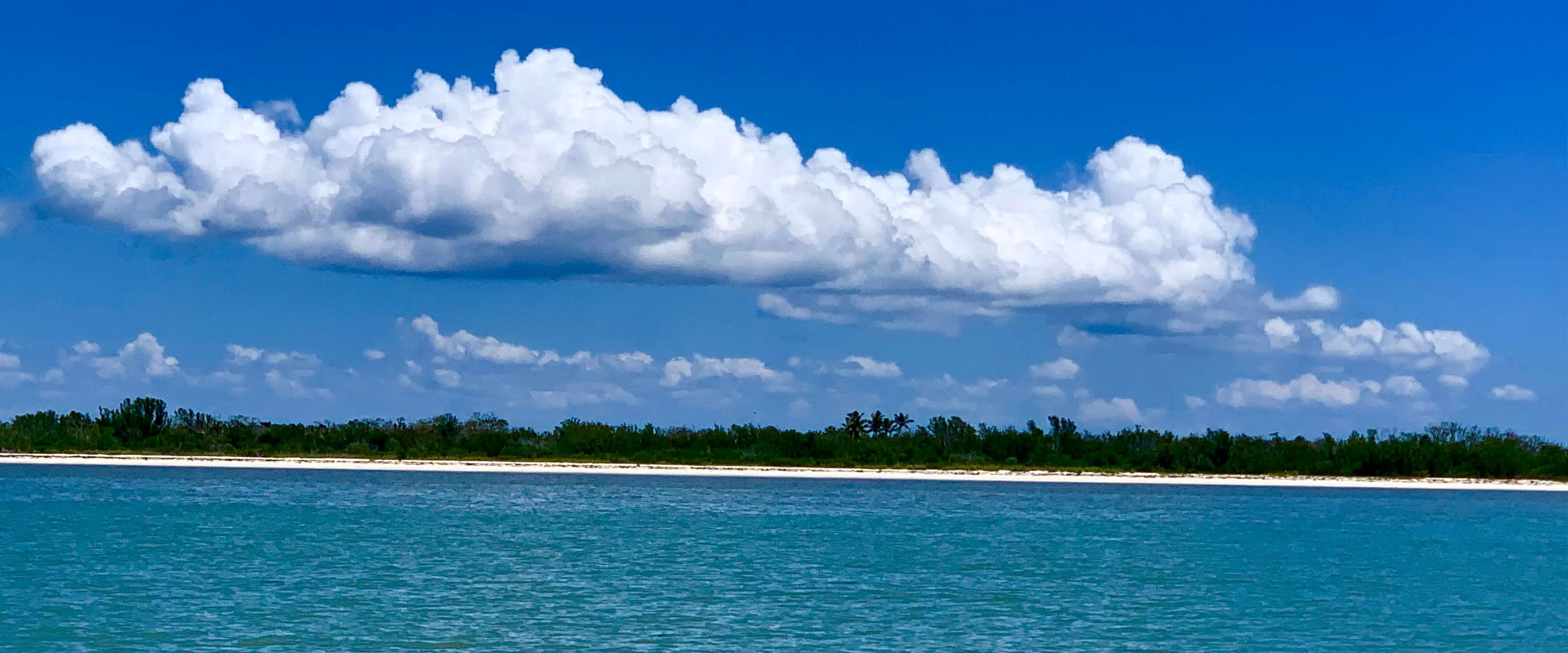 Adventures (Snorkel and Sandbar)