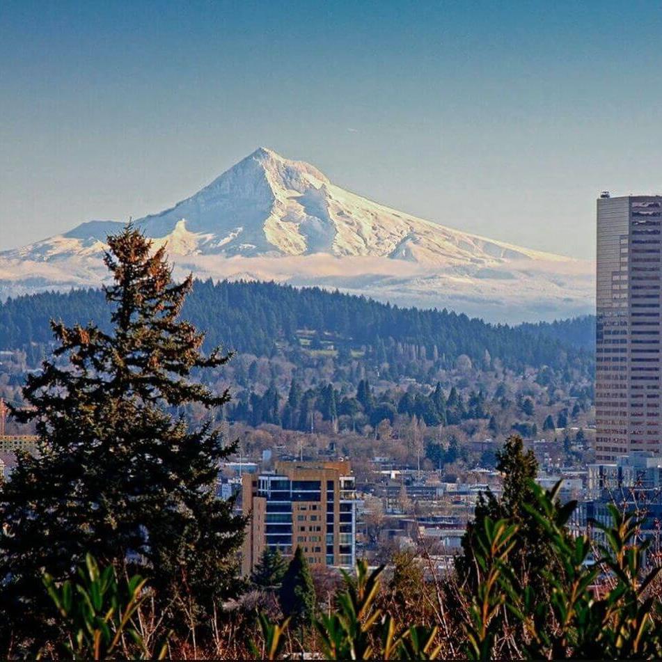 A Great Oregon Wine Tour