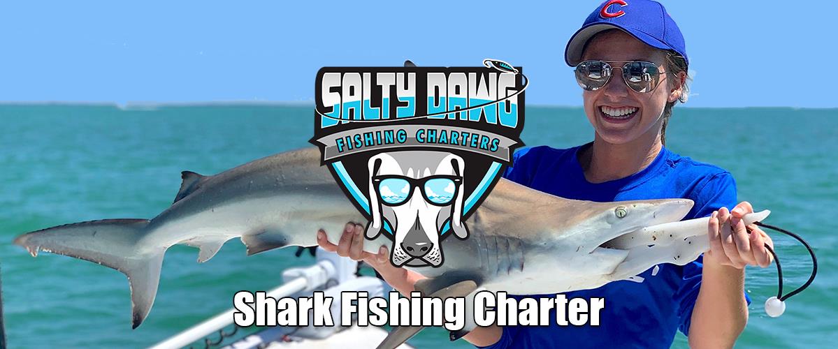 Shark Fishing Charter