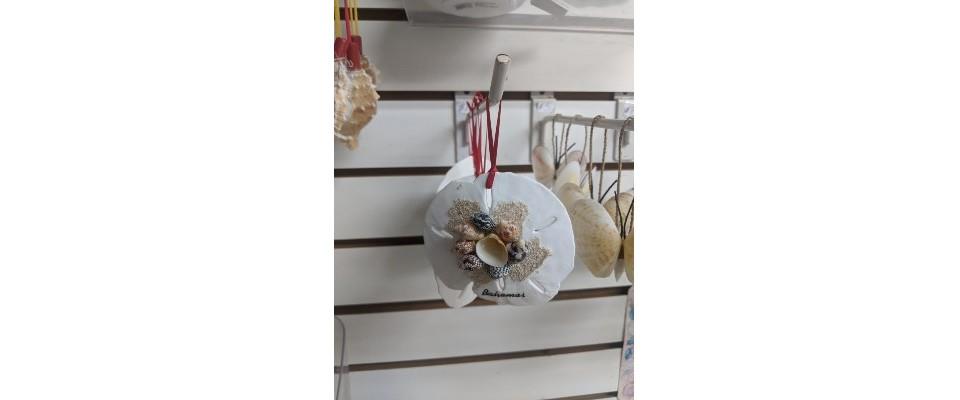 Sand Dollar Shell Ornament