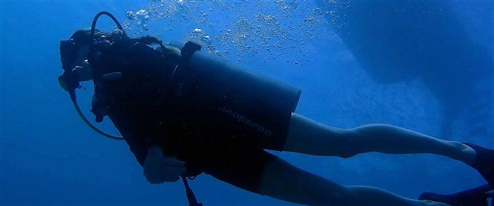 Morning Boat (certified divers only)