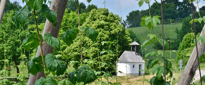 Bike Tour Hallertau - The Short Cirquit