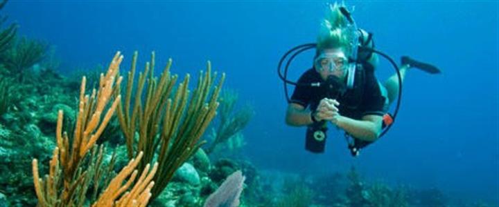 Explore Cozumel’s Shore Diving Adventures