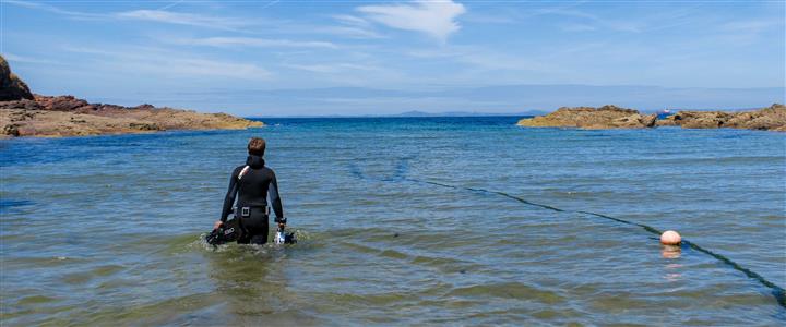 Explore Snorkelling!