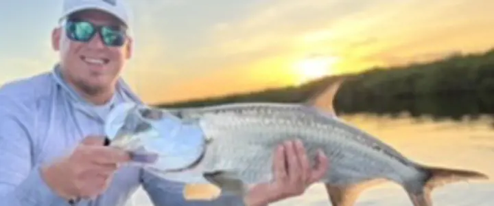 Night Fishing Tarpon