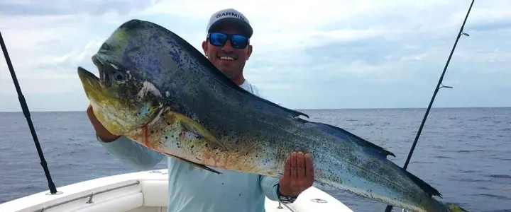 6 Hour Reef and Wreck Trip - Aboard the 28' Whitewater