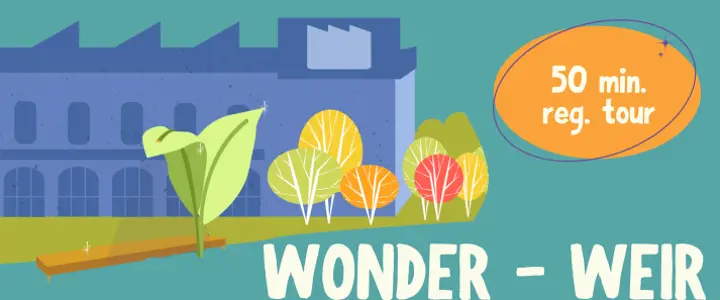 Wonder-Weir Regular Tour (50-55 mins)