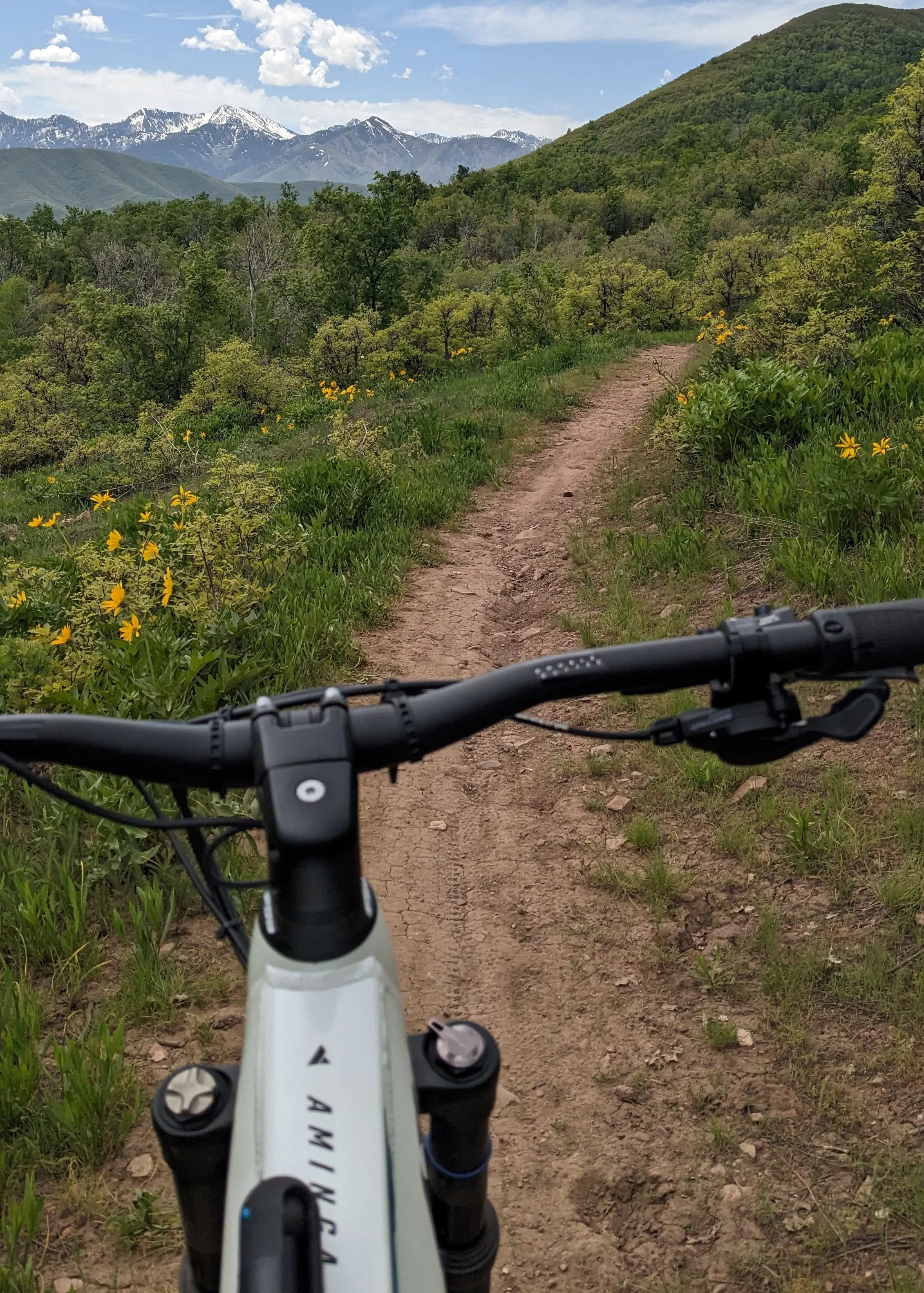 eMountain Bike Tour