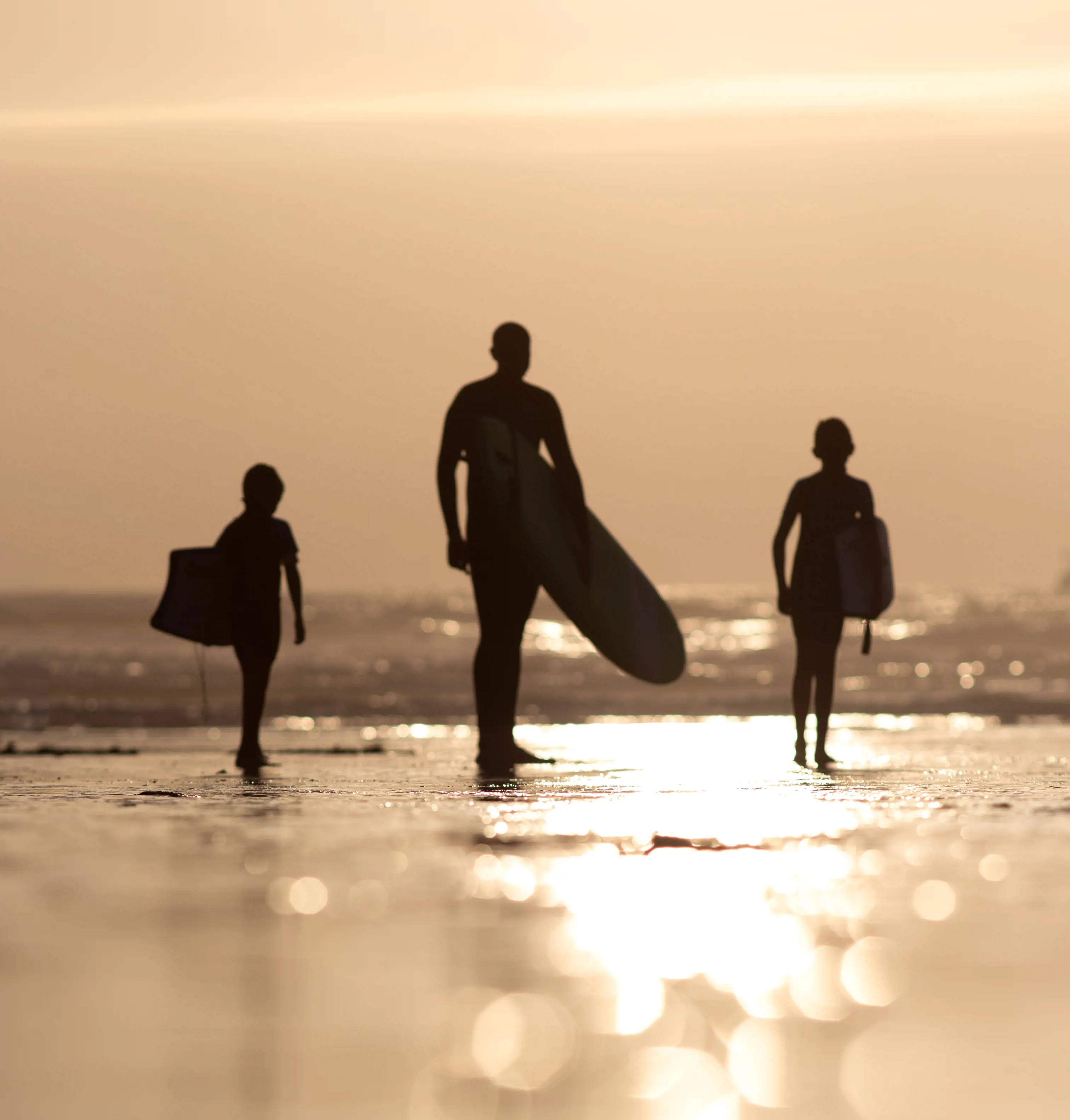 Surf Lessons