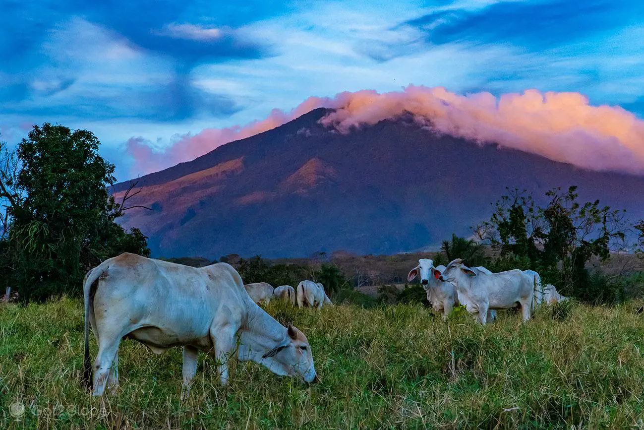 Volcán Miravalles