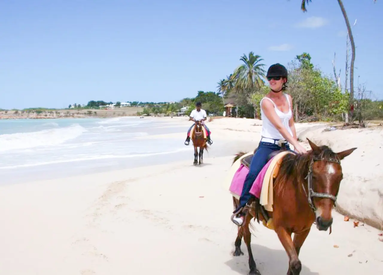 DISFRUTA DE PASEO A CABALLO POR LA PLAYA