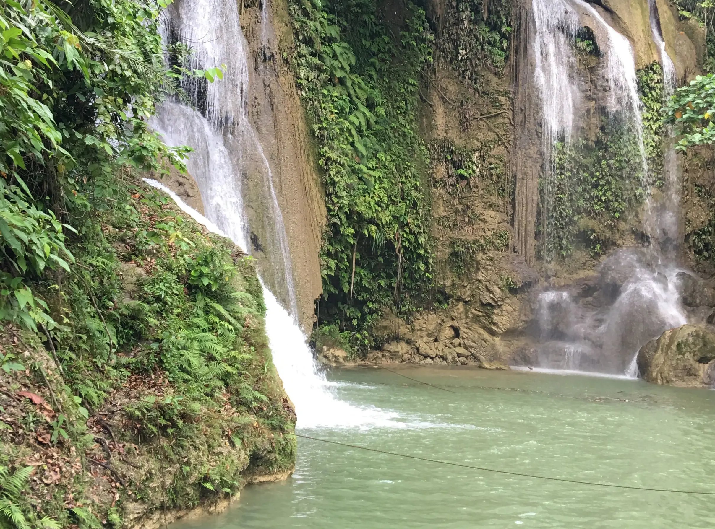 SAMANA + WHALES + EL LIMON WATERFALL 