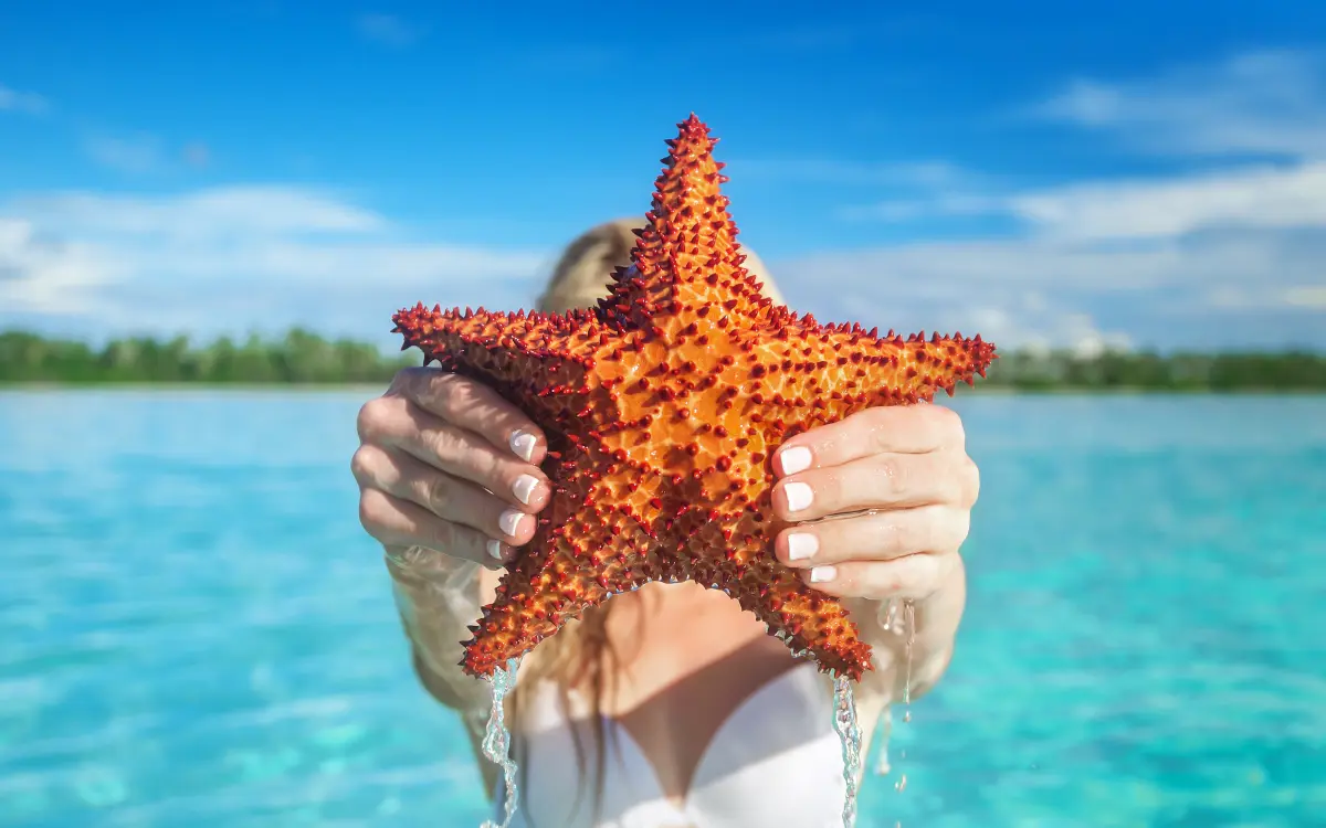 ISLA SAONA EN CATAMARÁN (COMPARTIDO)