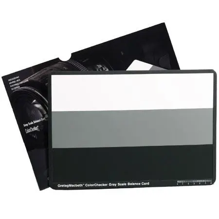 Accessory Rental - Greyscale Card / $5 rental