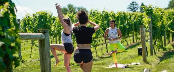 Napa Valley Yoga Experience