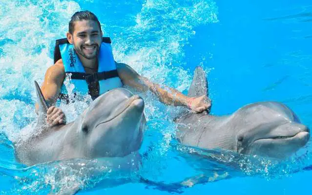  EXCELLENCE SWIM WITH TWO DOLPHINS