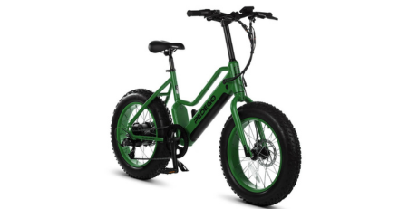 1 Hour e-Bike Rental- Pedego Element- Florence