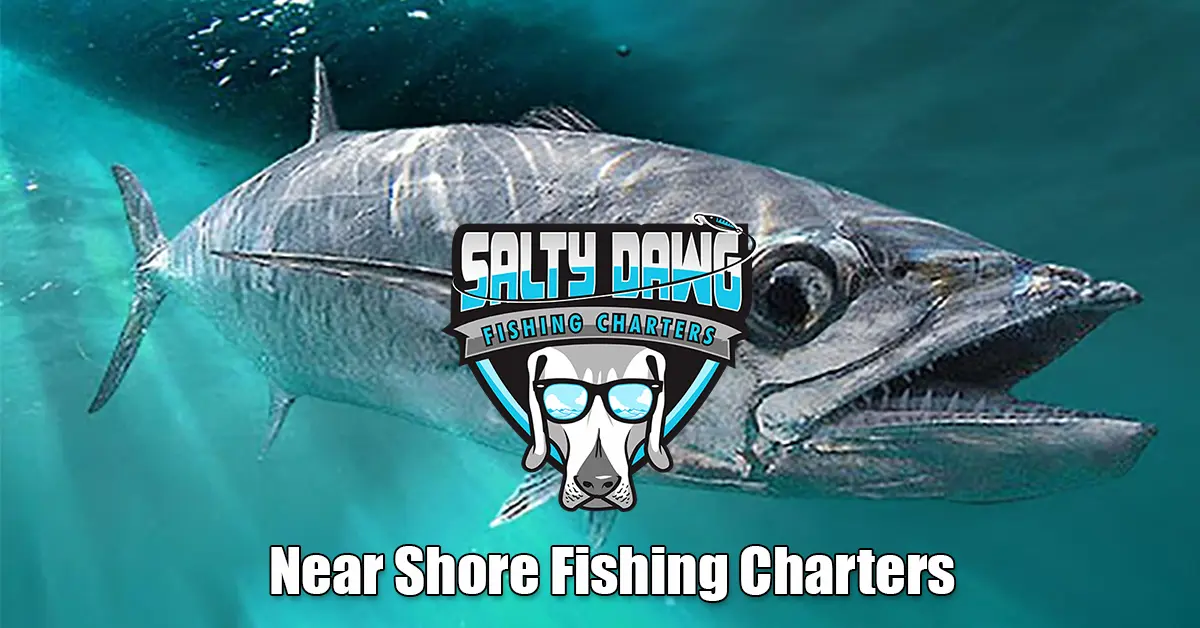 Nearshore Fishing Charters