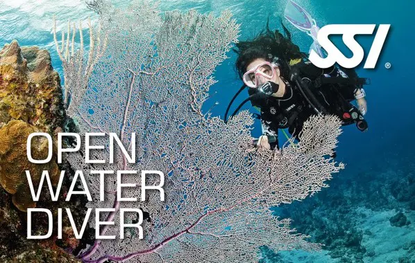 SSI Open Water Diver Course 