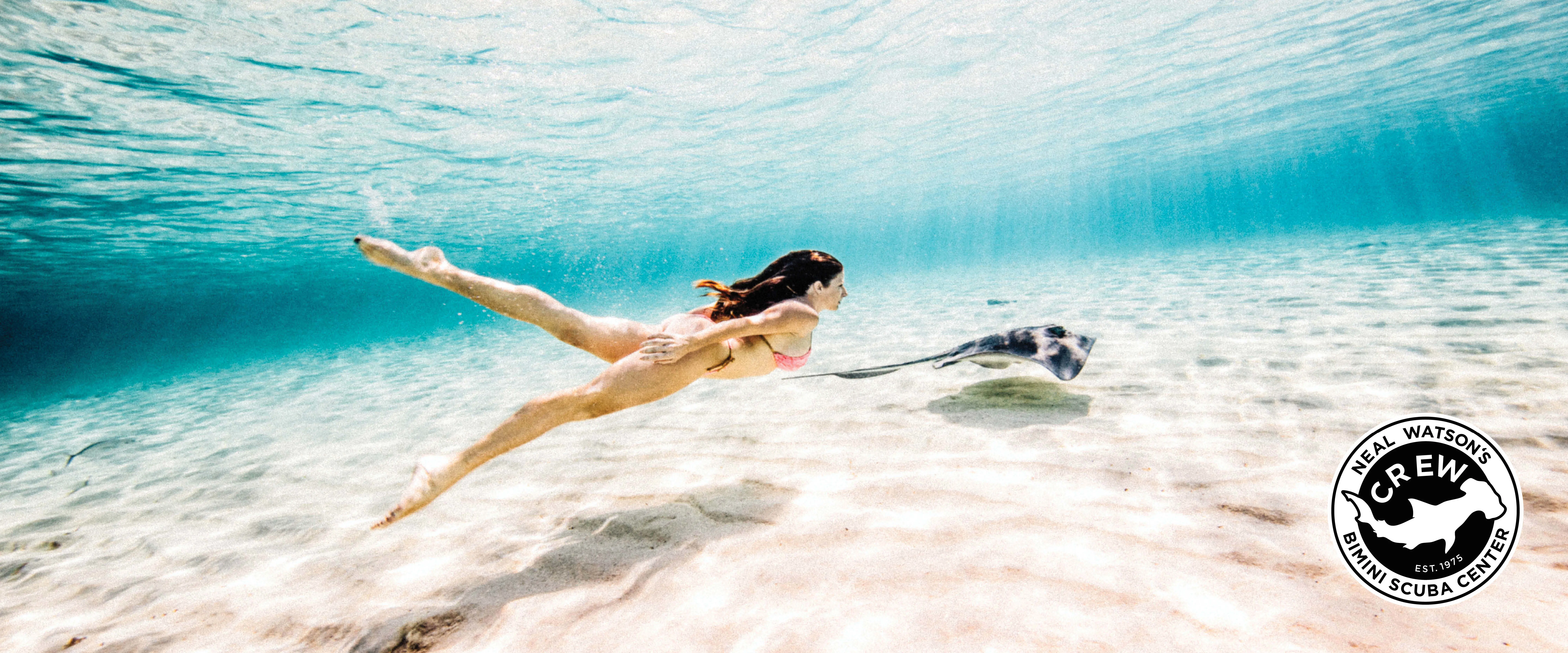 Signature Safaris (Scuba + Snorkel)