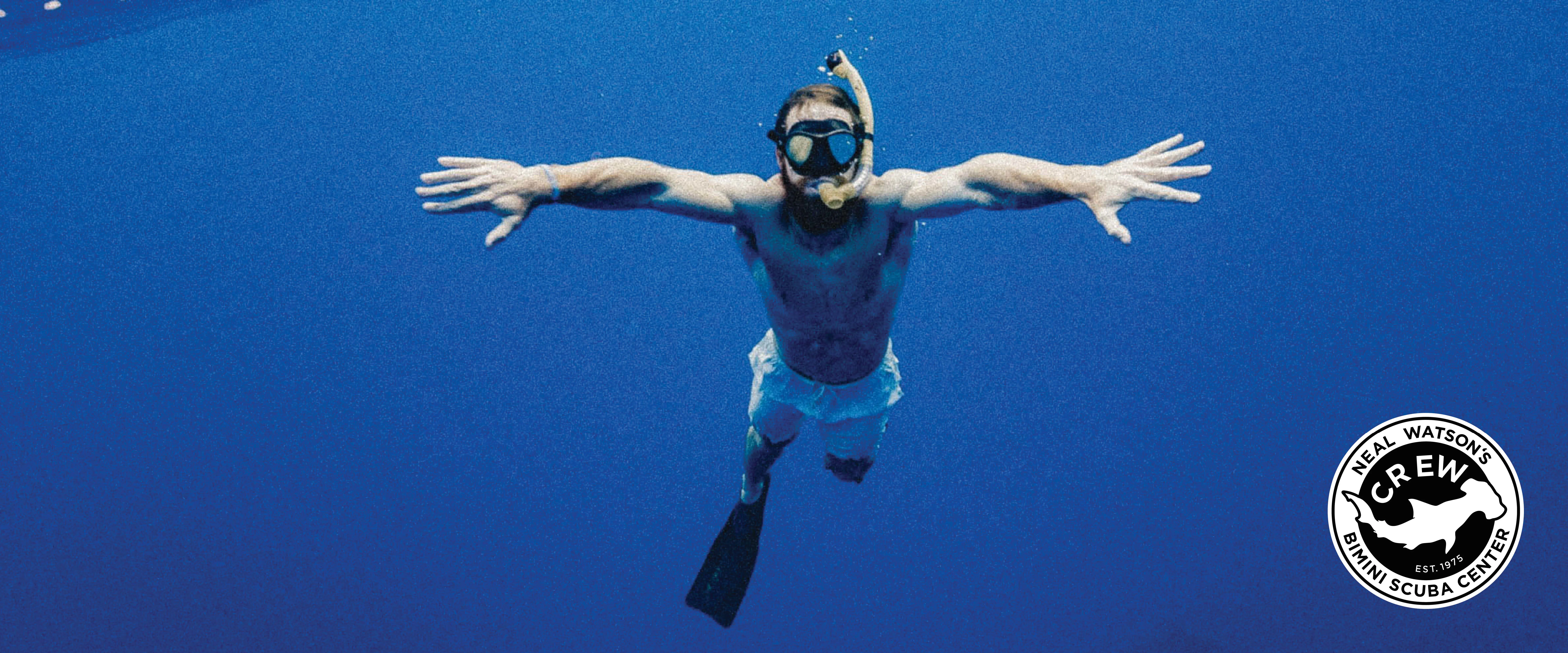 Snorkeling Trips (Snorkel Only)