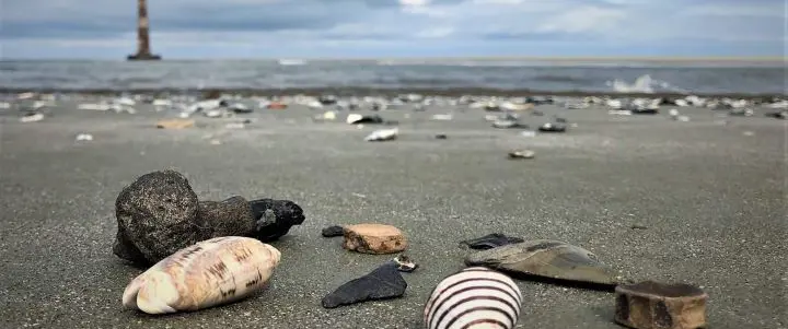 Shelling & Beach Walk