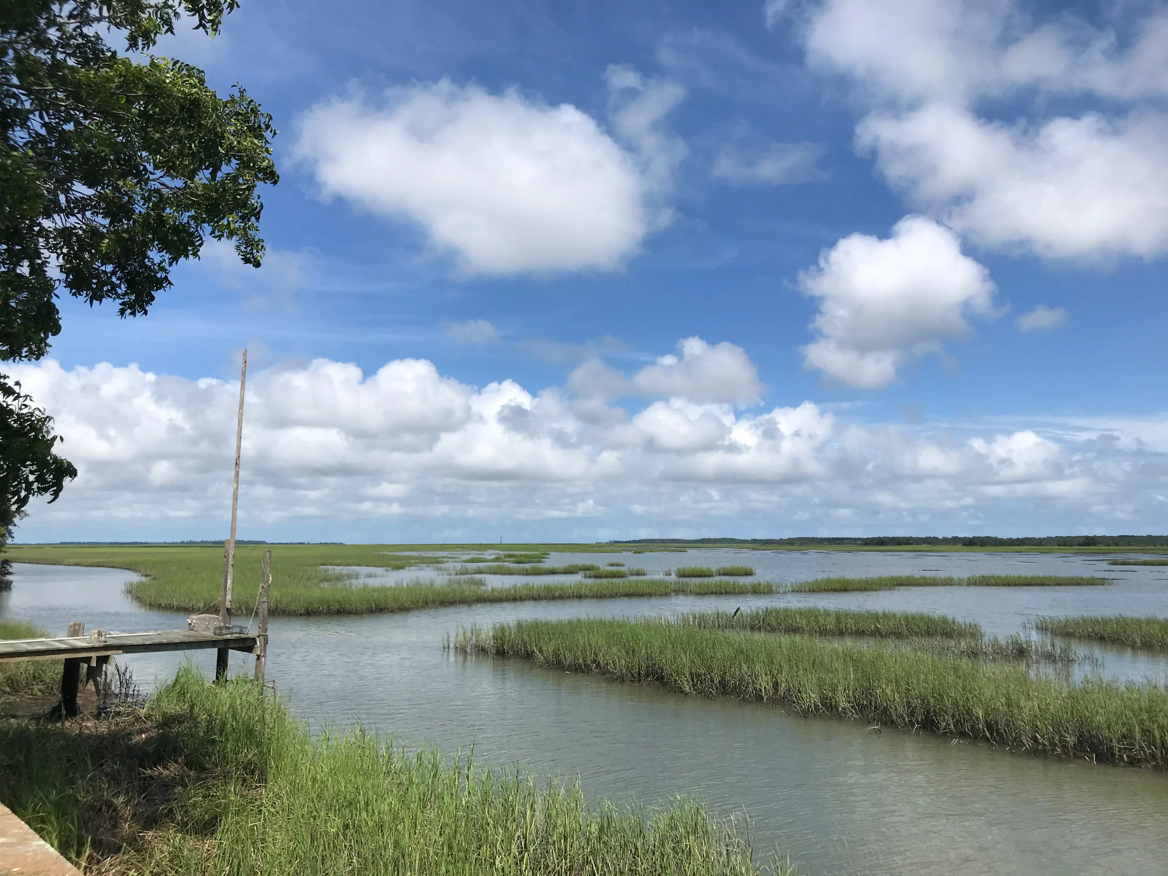 Charleston Ecotours
