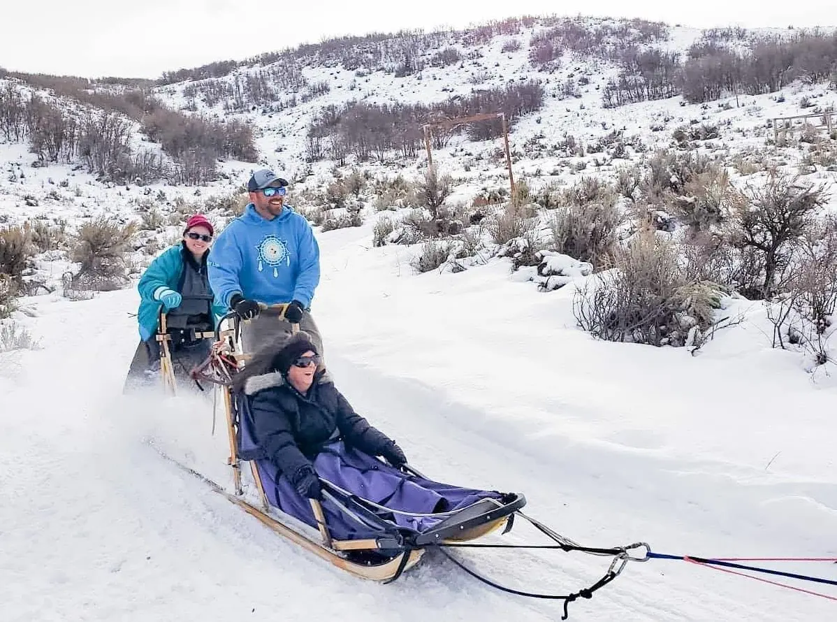 Dog Sled Experience