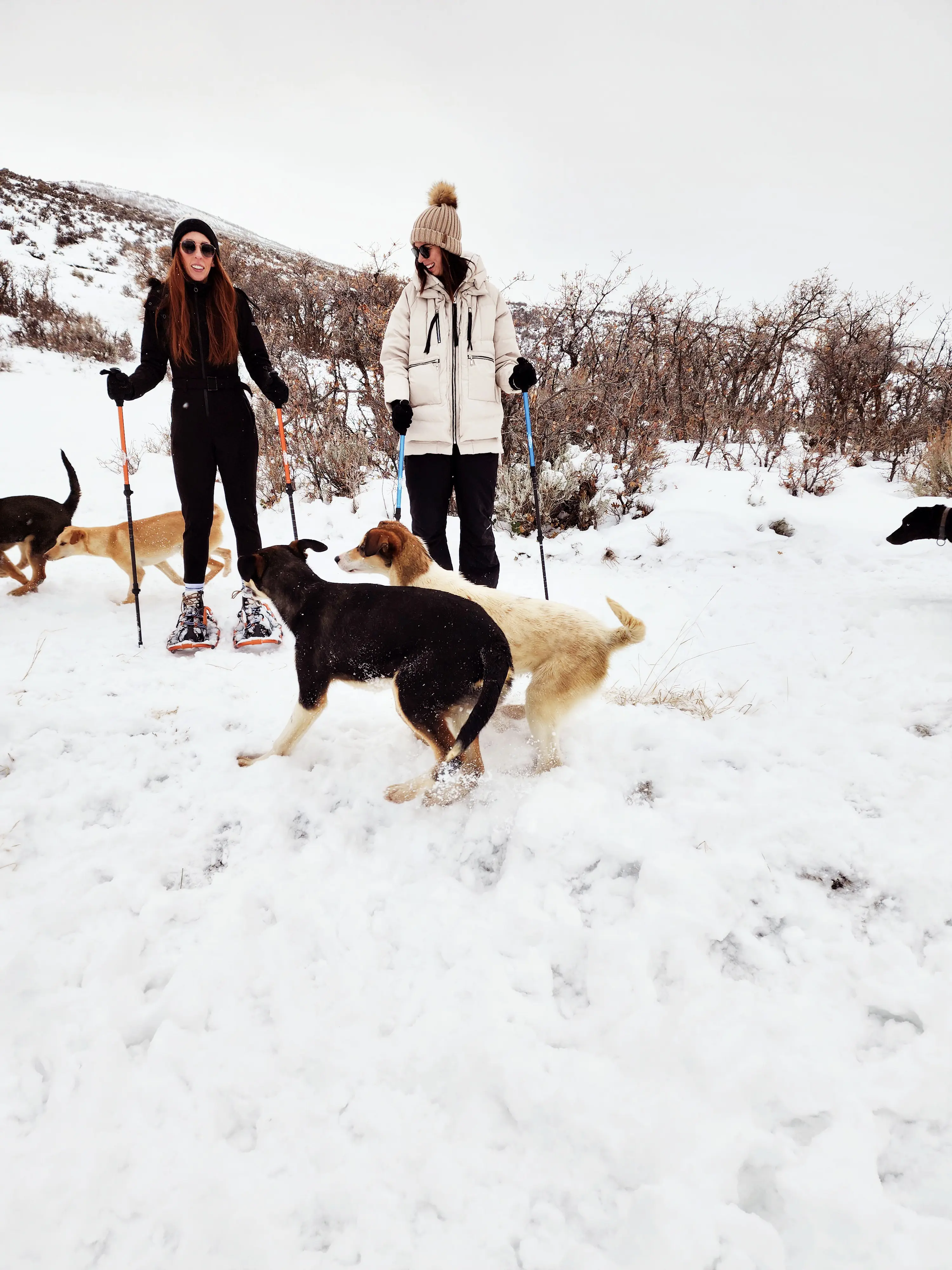 Snowshoe Adventure