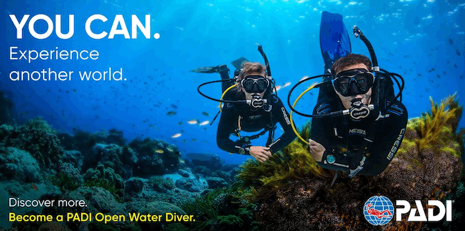 PADI Open Water Diver Course