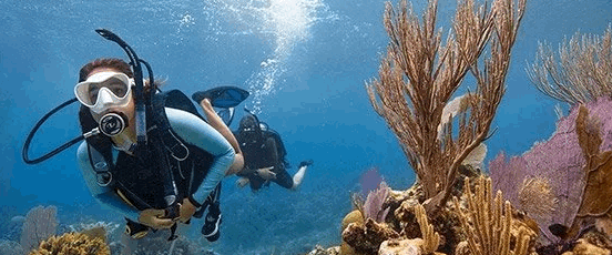 Private group scuba diving tour (1 - 4 people) 