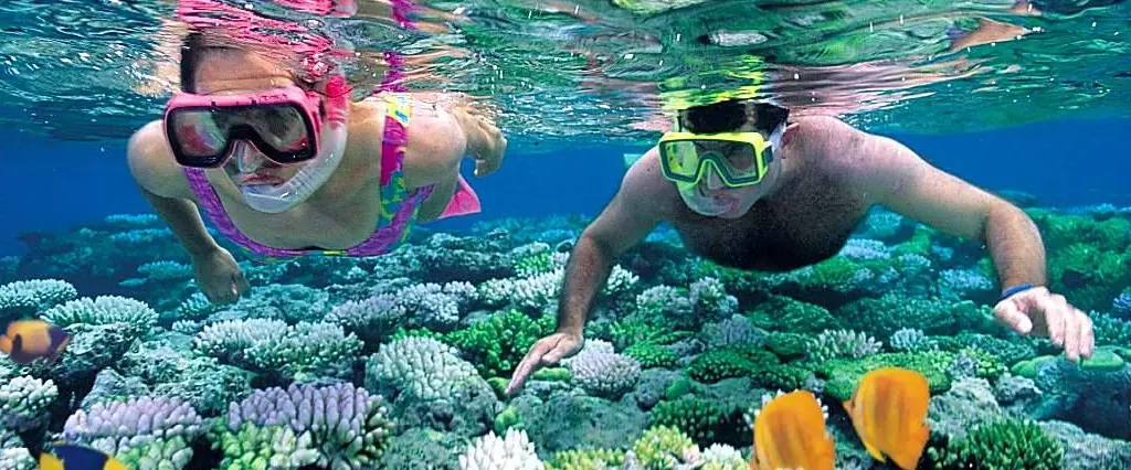 Private group snorkel boat tour (1 - 4 people)