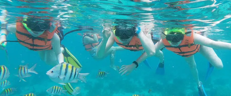 Private group snorkel boat tour (5 - 8 people)