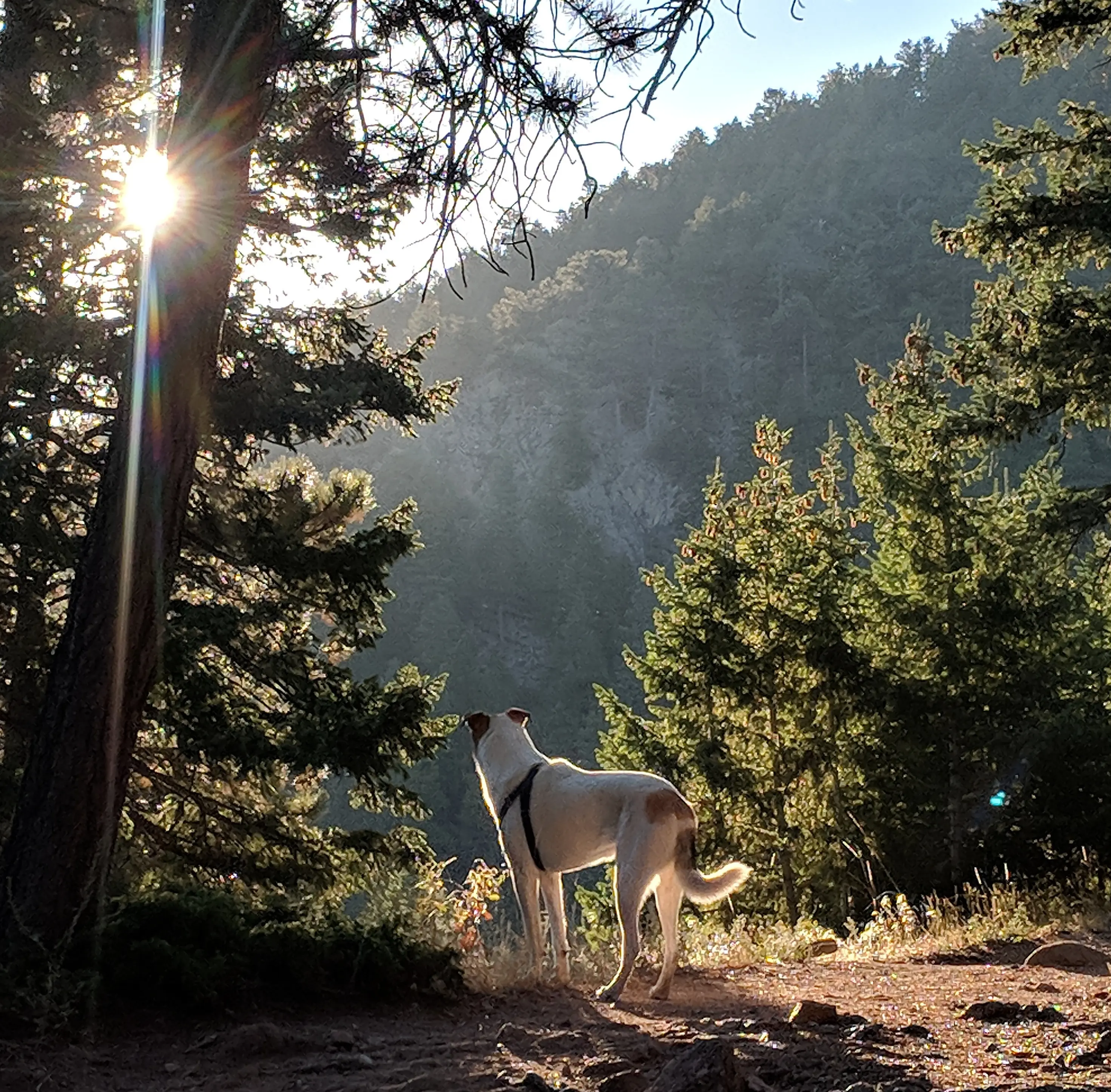 Private Customized Guided Hike