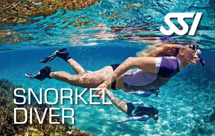 SSI Try Snorkeling