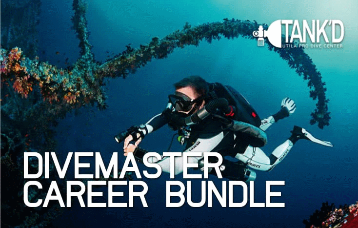 Divemaster Career Bundle