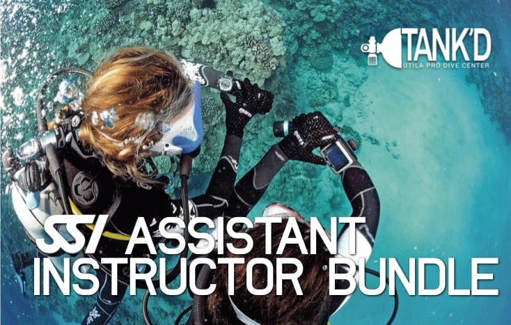 SSI Assistant Instructor Bundle