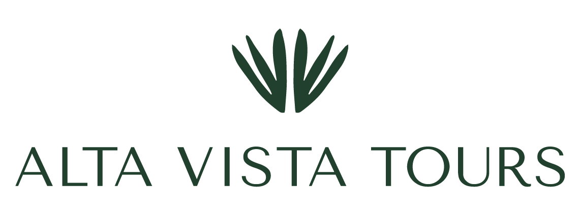 Happy Birthday Bruce! Alta Vista Stargazing Experience for 4 guests