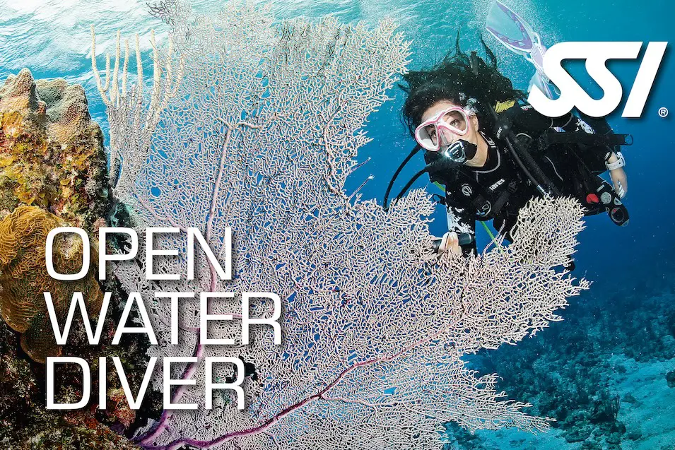 SSI Open Water Diver Elearning 