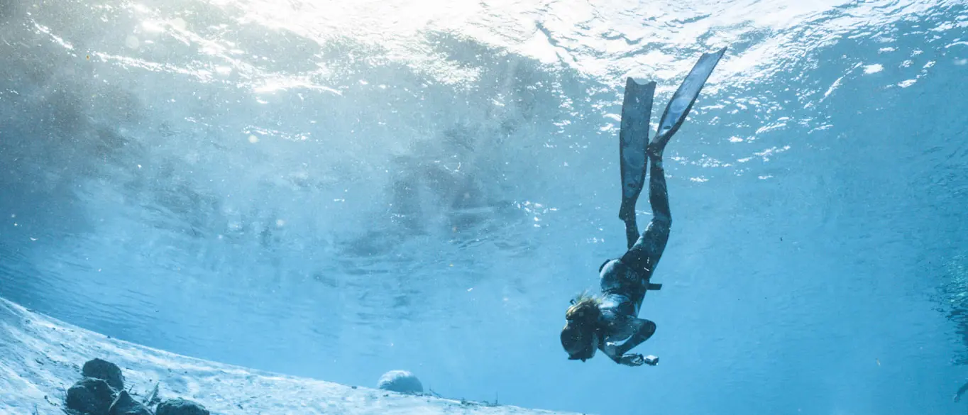 PADI Freediver Course ( Level 1)