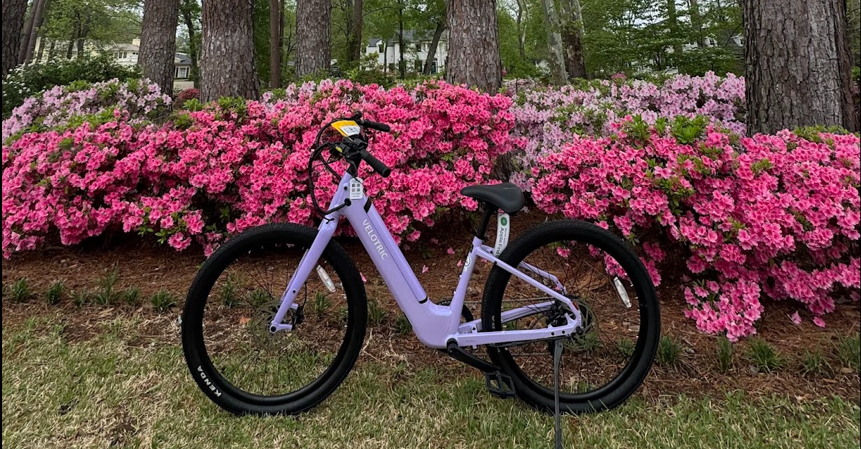 Azalea & Spring Flower Trail Rental