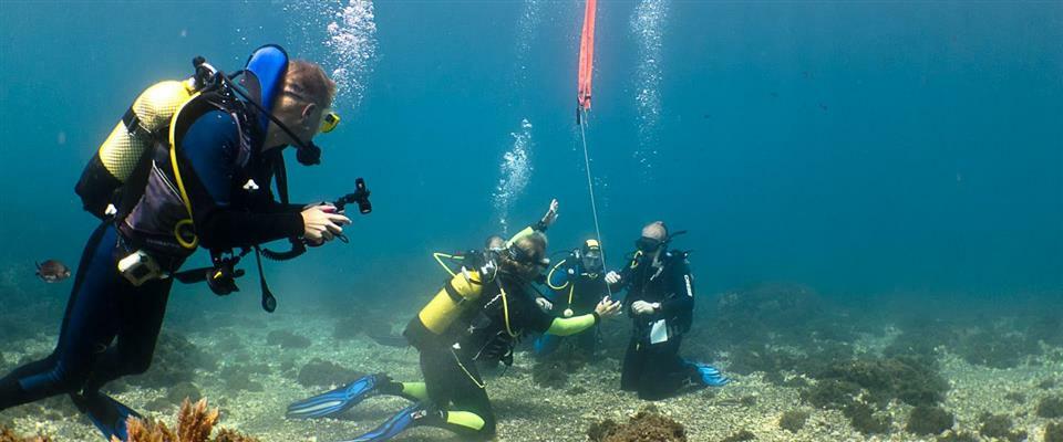 PADI Open Water Diver