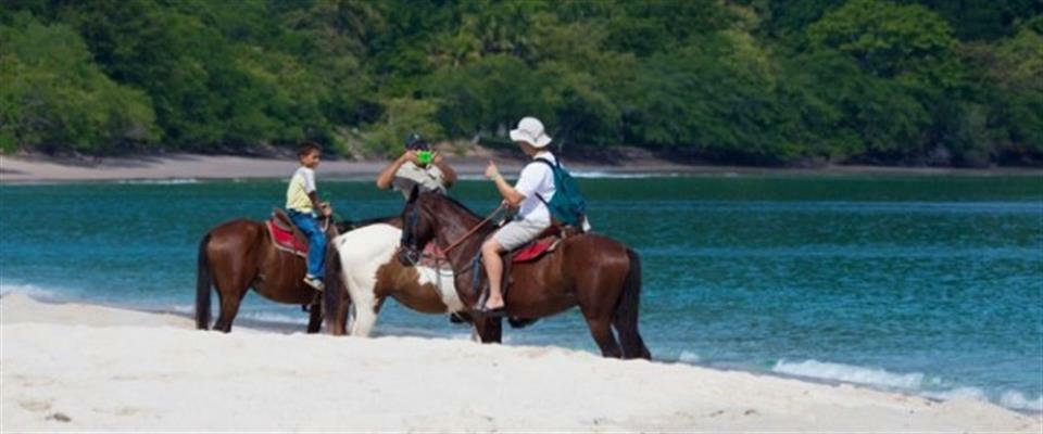 Horseback Tour